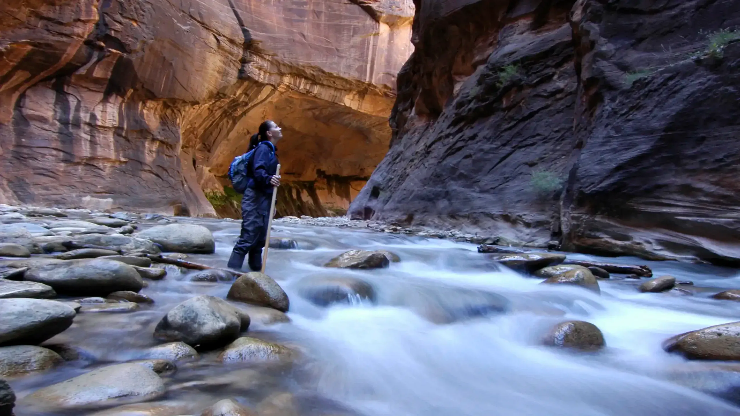 woman looking up in the narrows in zion national park utah