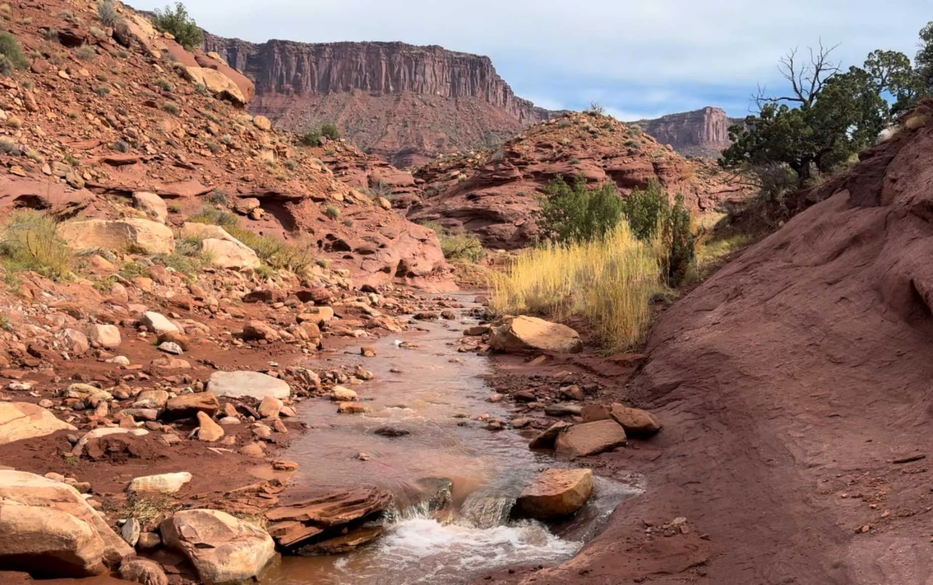 Professor Creek flowing well in the fall after recent snowmelt in Castle Valley, Utah