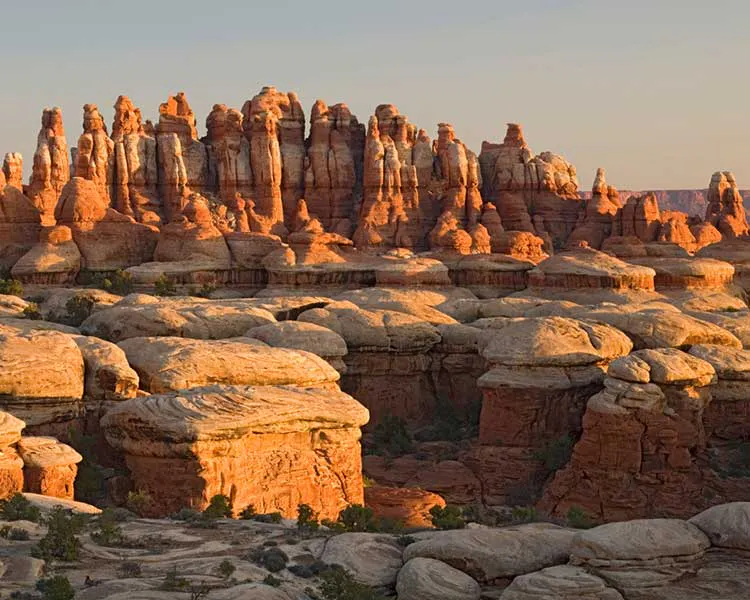 Stunning view of the Needles in Canyonlands National Park