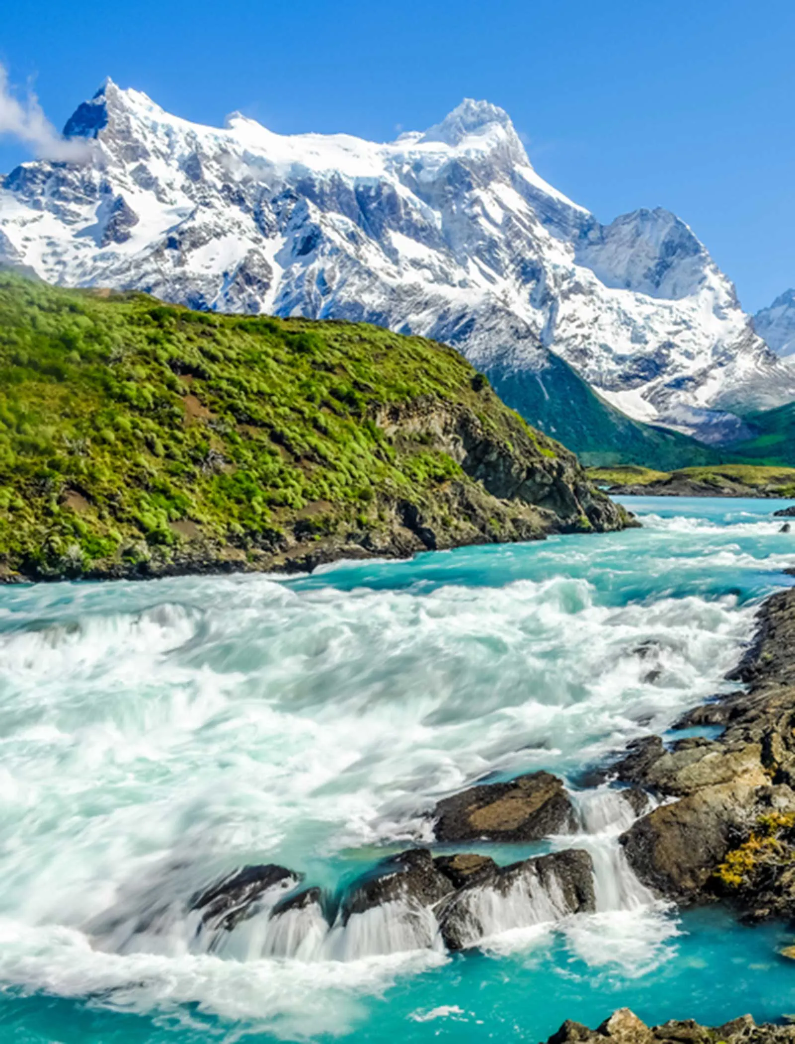 Turquoise, glacial-fed river descending through forests below glaciated peaks in Torres del Paine, Chile