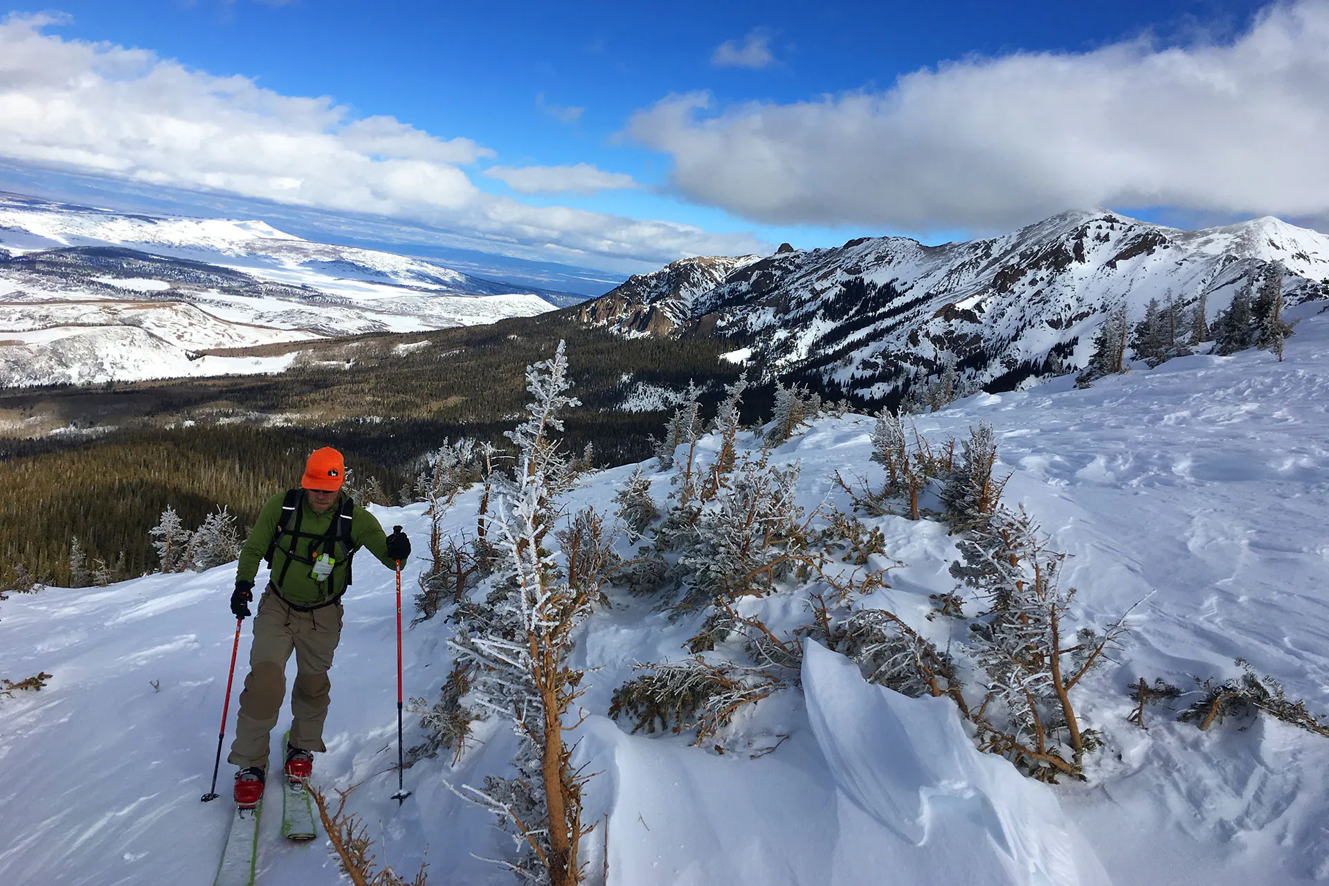 A skier traversing a side slope with stunted subalpine spruce trees and wind-blown snow, and alpine ridges and peaks in the background