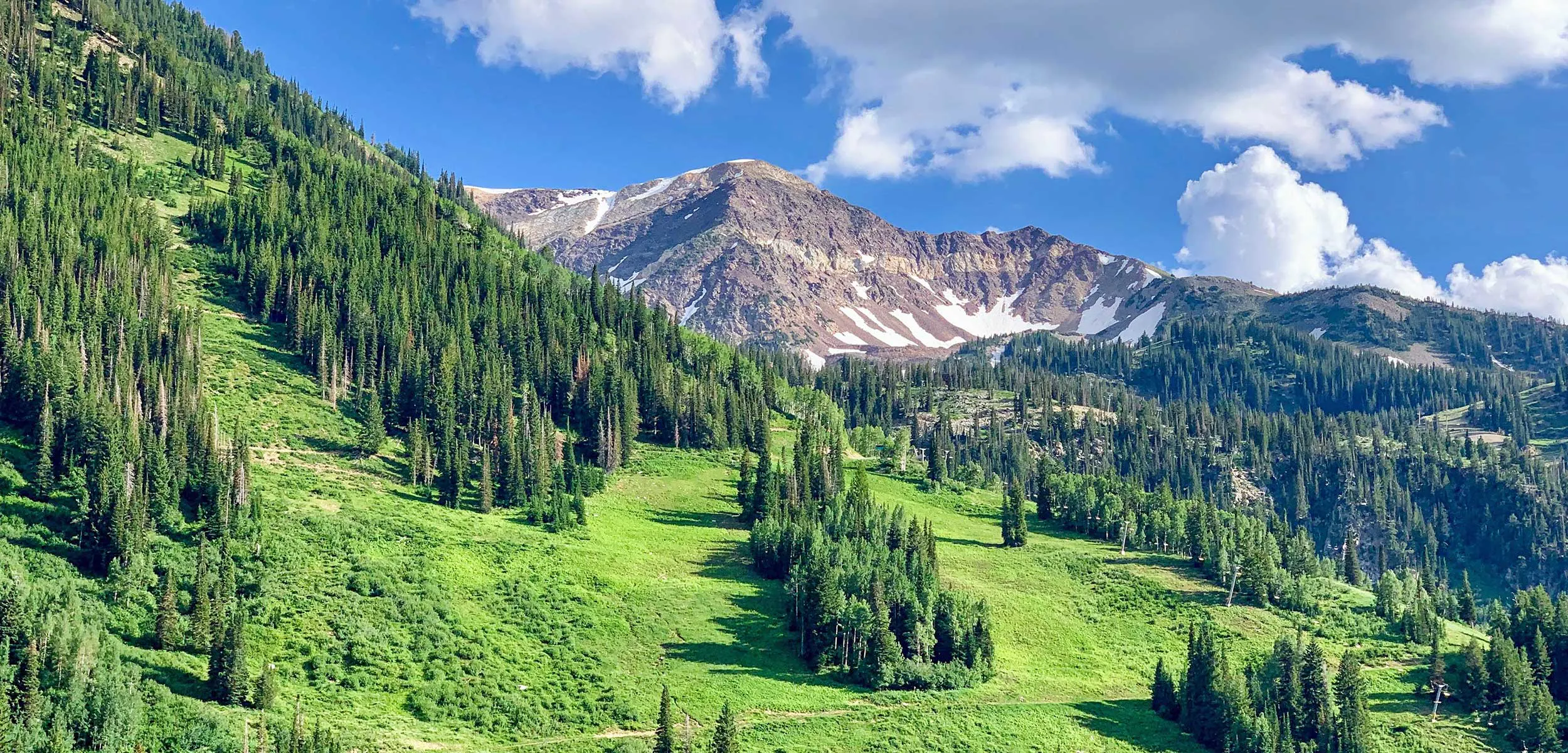 Green meadows and ski runs in the summertime in Utah's Wasatch Range.