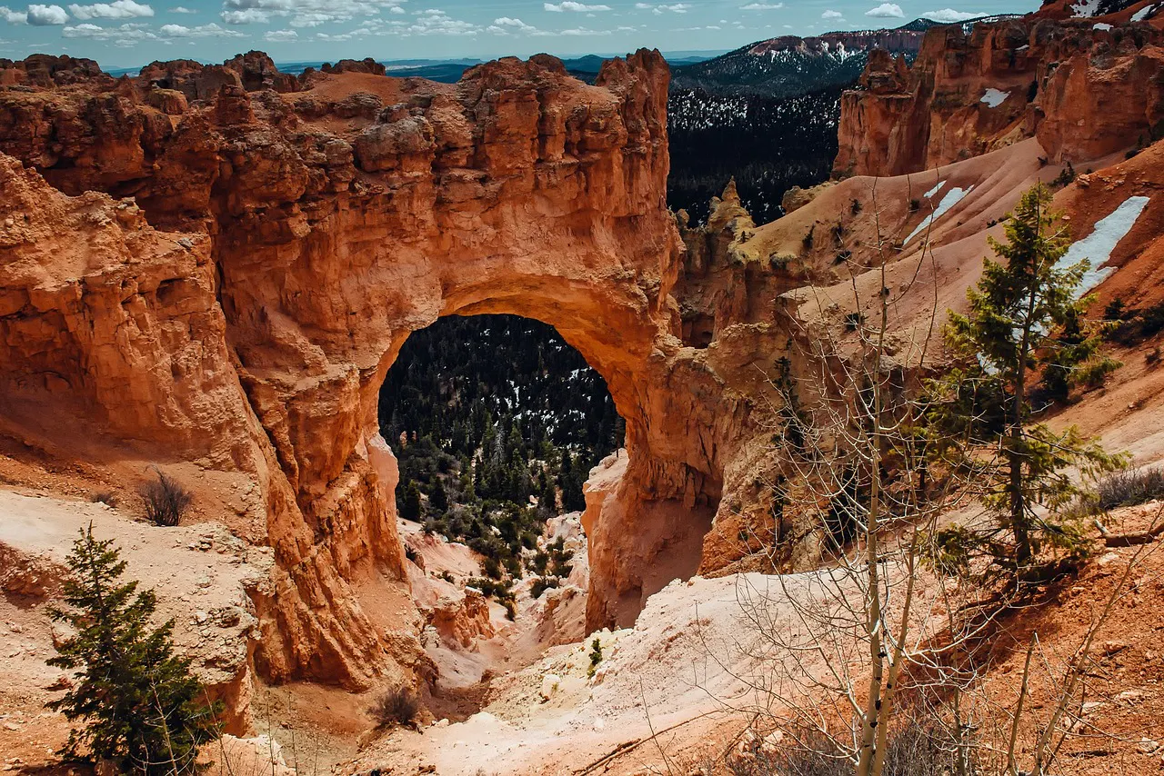 bryce canyon hoodoos rock composition