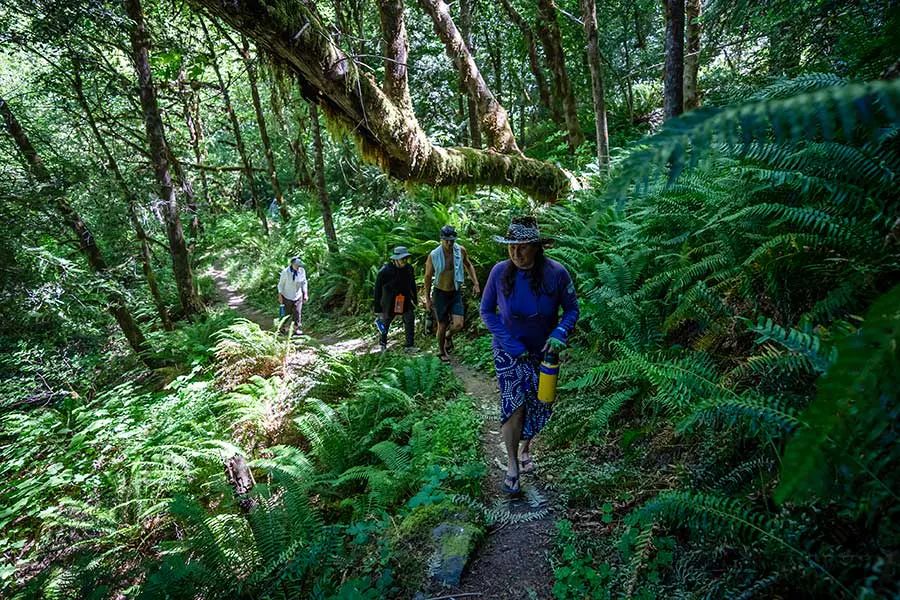 Hikers in the Oregon temperate rainforest on the Rogue River rafting trip with OARS
