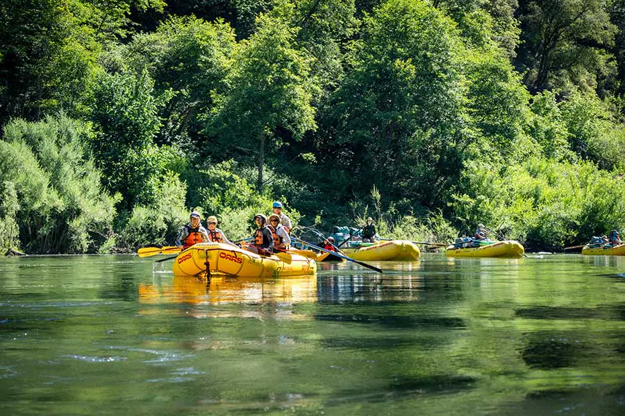 A group of OARS rafts and passengers on a stretch of flat water on the Rogue River, Oregon, surrounded by lush foliage