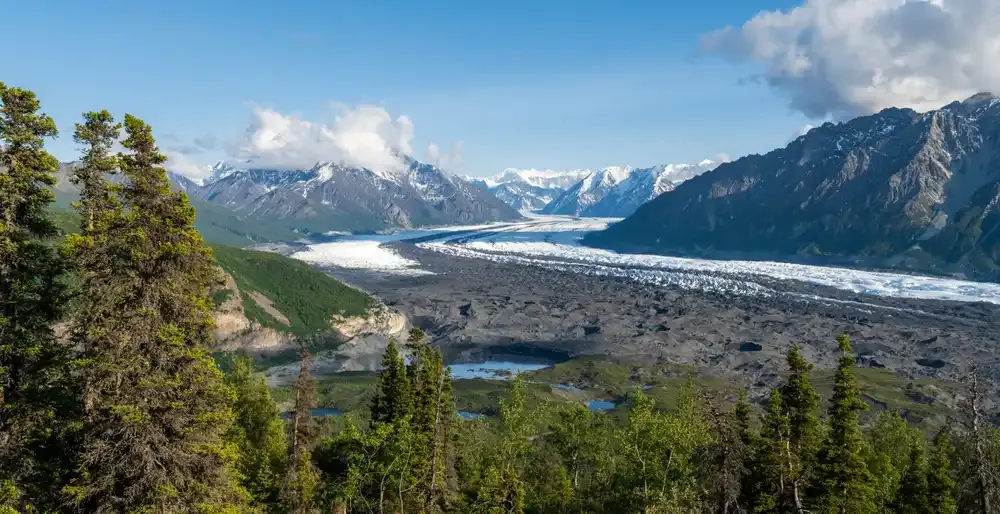 A wide glacier flows through a valley surrounded by snow-capped mountains in Alaska and dense evergreen forest under a clear blue sky, creating breathtaking scenery.