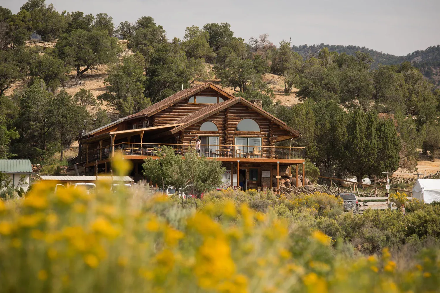 Boulder Mountain Lodge with large windows sits among trees and hills, with yellow wildflowers in the foreground—perfect for relaxing after a day of hiking nearby trails.