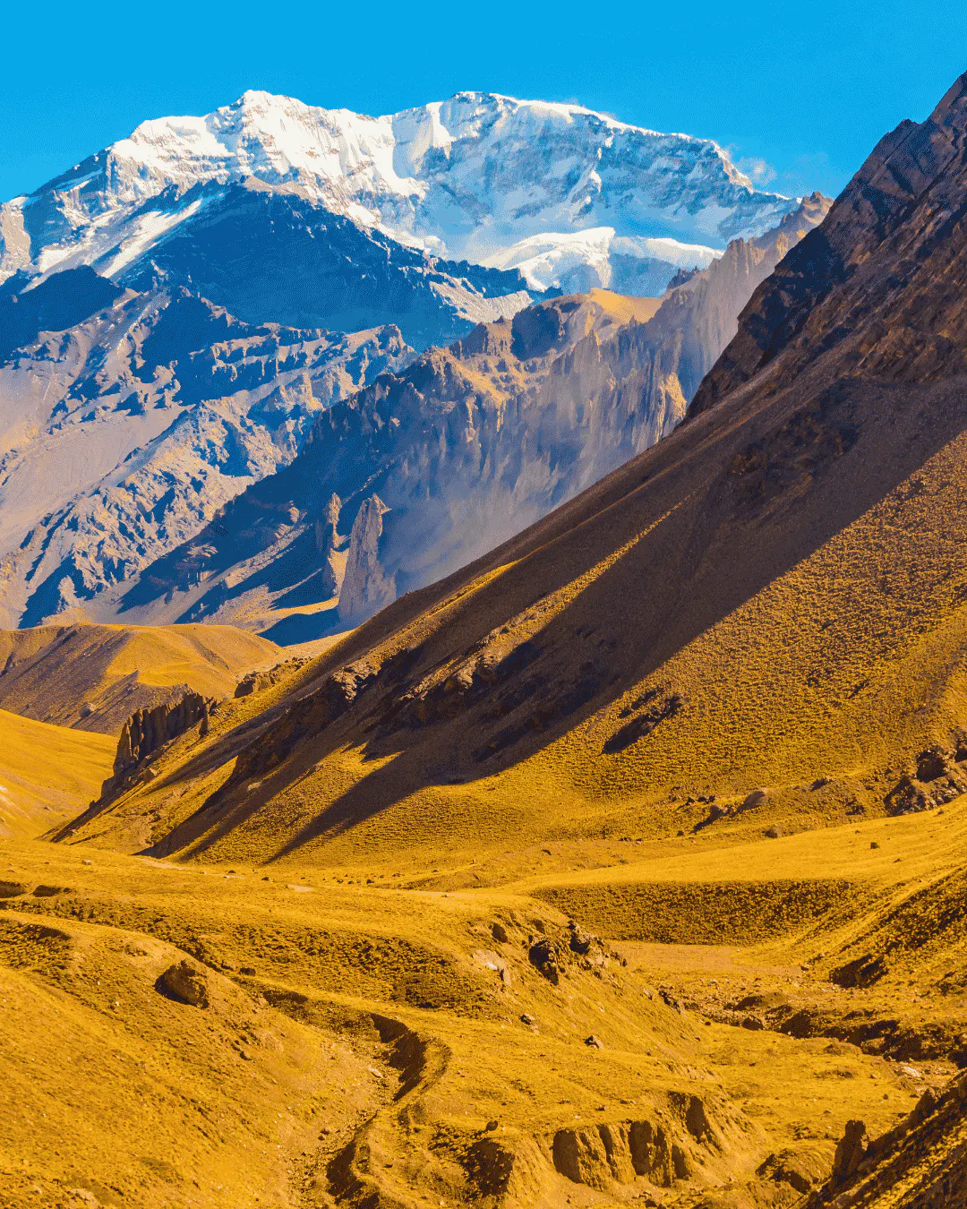 Snow-capped mountain rises behind rocky, golden-brown slopes under a clear blue sky in Aconcagua National Park in Argentina. A winding path, perfect for Argentina hiking adventures, runs through the foreground terrain.