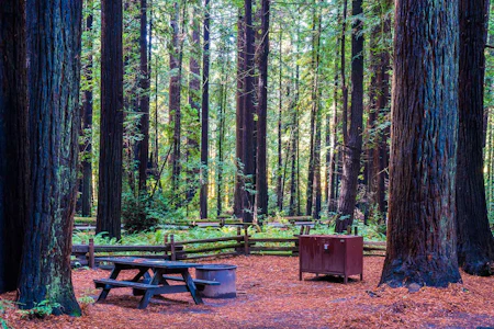 Humboldt Redwoods State Park Campground