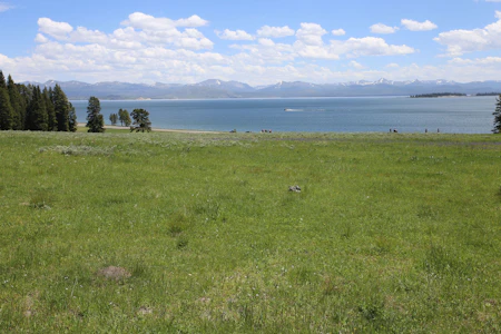 Bridge Bay Campground – Yellowstone