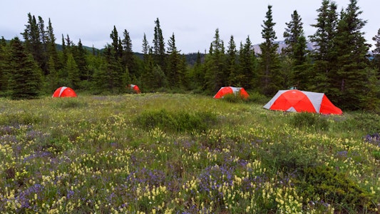 MT Sobek Camp-Alsek River, Yukon, Canada