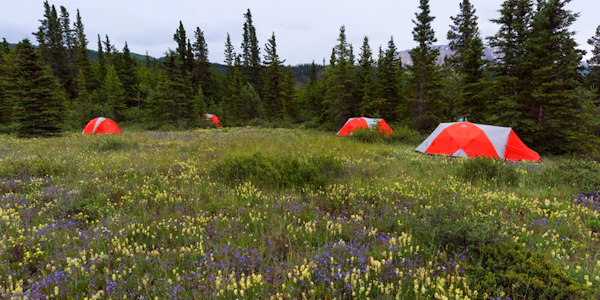 MT Sobek Camp-Alsek River, Yukon, Canada
