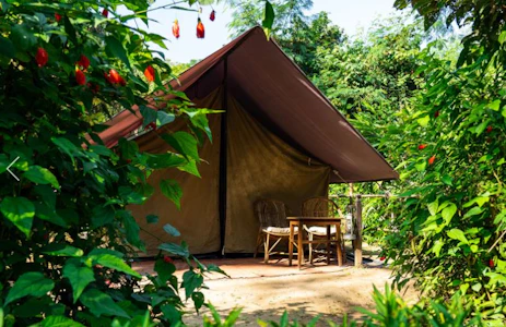 Tiger Tops Tharu Lodge