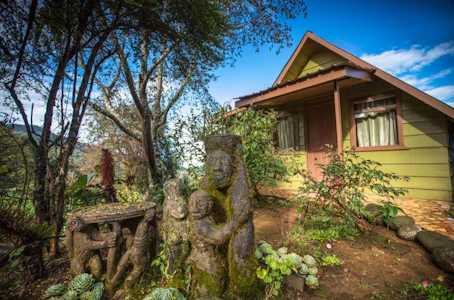 Toucanet Lodge