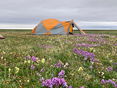 MT Sobek Camp-Hulahula River