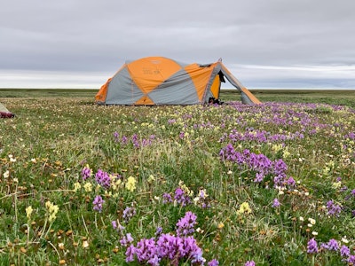 MT Sobek Camp-Hulahula River