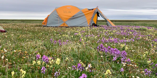 MT Sobek Camp-Hulahula River