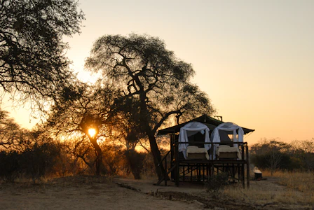 Jozibanini Camp-Hwange National Park, Zimbabwe