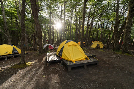 Camp Los Perros