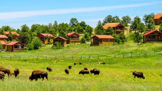 Zion Mountain Ranch