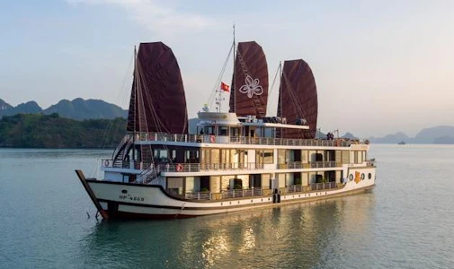 Orchid Trendy Cruise
