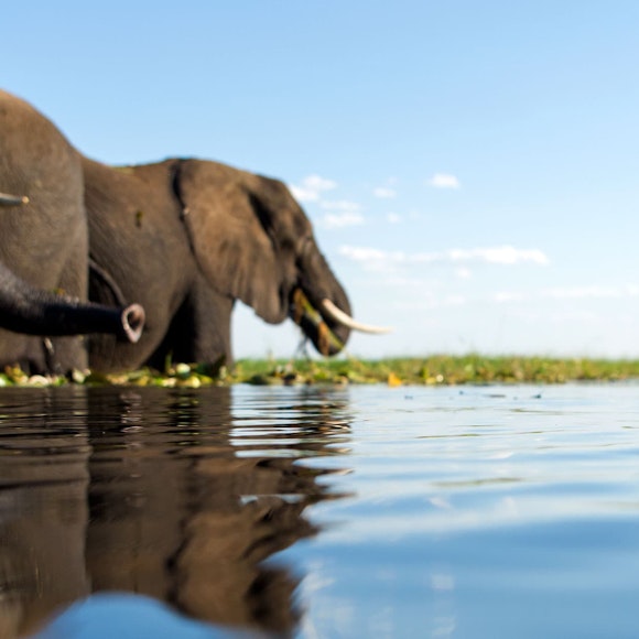 Botswana Adventure Tour