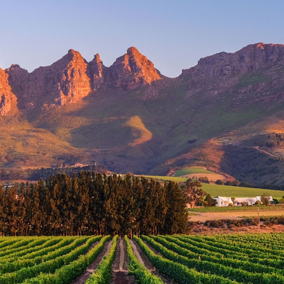South Africa Adventure Tours