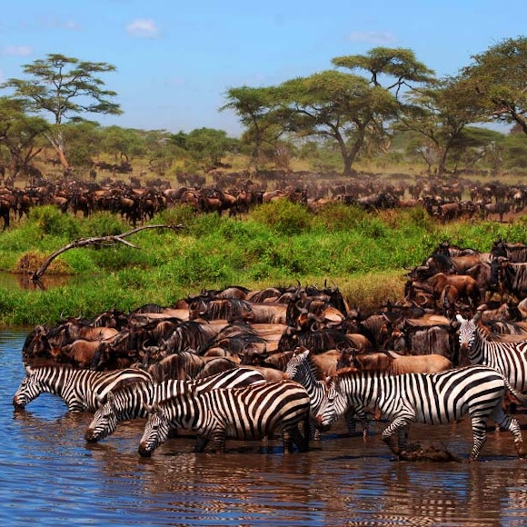 Tanzania Adventure Tours