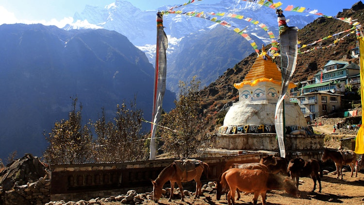 namche - Nepal Everest Base Camp Trek