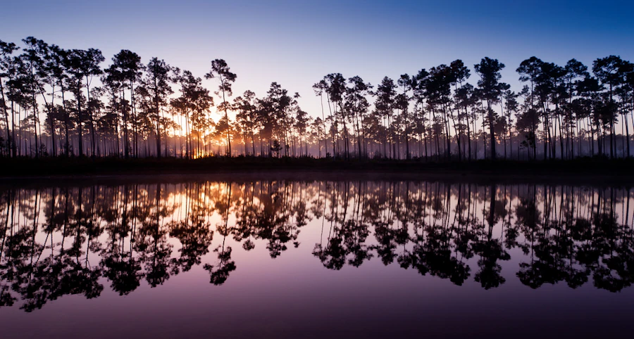 Florida Everglades & Biscayne National Parks Multi-Adventure Tour