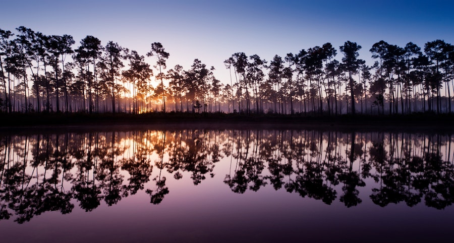 Florida Everglades & Biscayne National Parks Multi-Adventure Tour