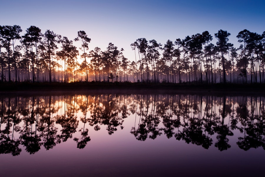 Florida Everglades & Biscayne National Parks Multi-Adventure Tour