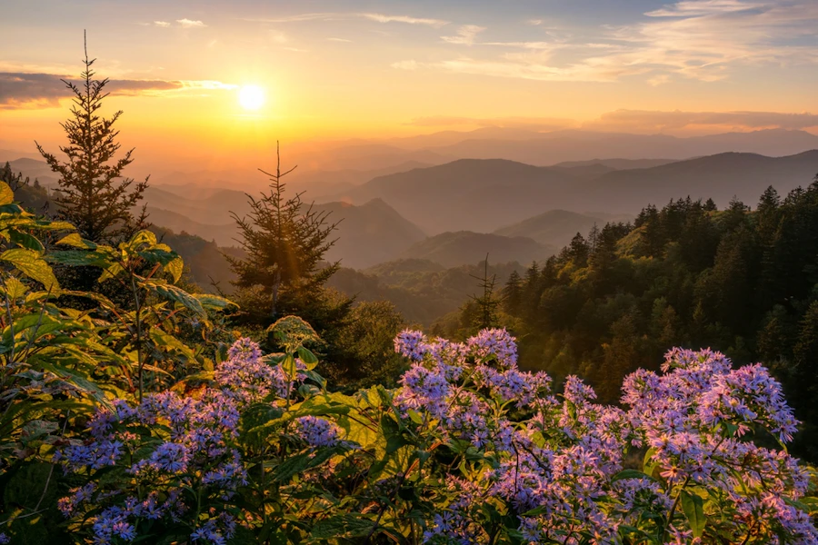Tennessee Great Smoky Mountains Family Adventure Tour