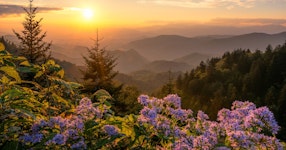Tennessee Great Smoky Mountains Family Adventure Tour