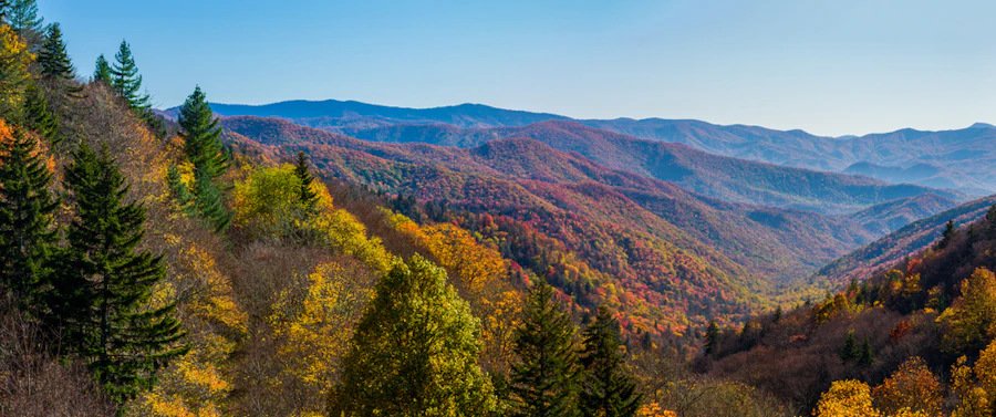 Tennessee Great Smoky Mountains Multi-Adventure Tour