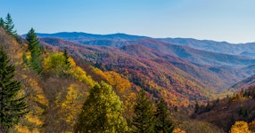 Tennessee Great Smoky Mountains Multi-Adventure Tour