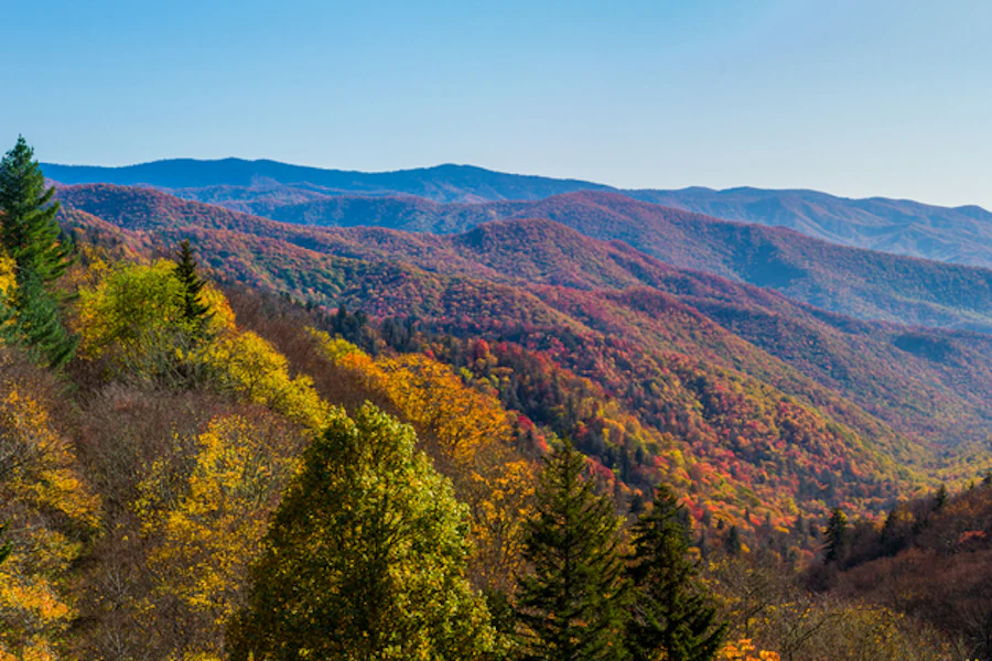 Tennessee Great Smoky Mountains Multi-Adventure Tour