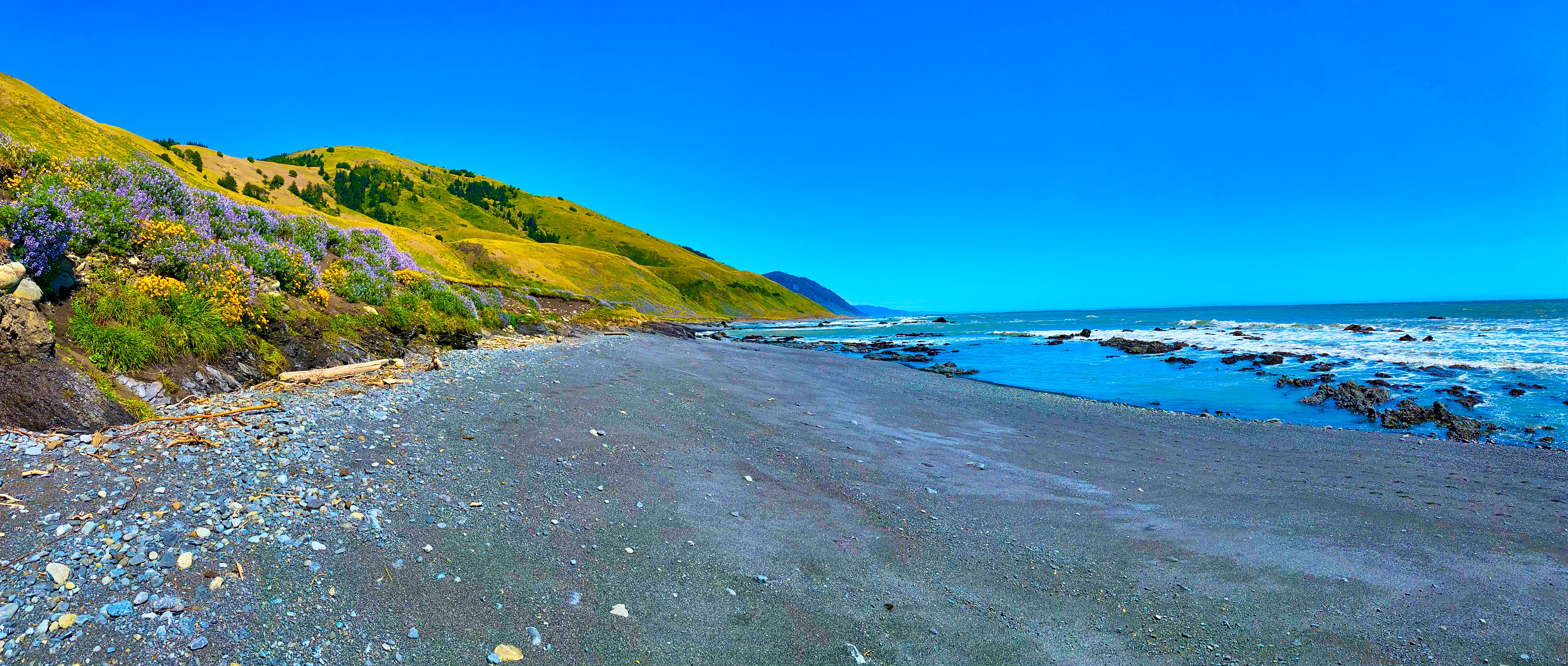 California Lost Coast Backpacking