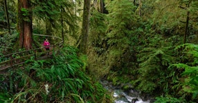 Washington Olympic National Park Hiking & Camping Tour