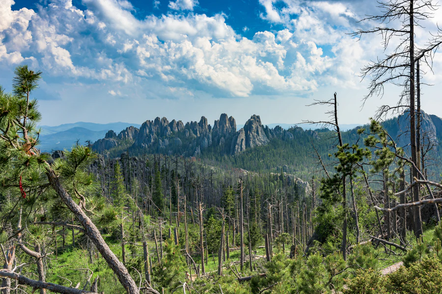 South Dakota Badlands, Mount Rushmore & Black Hills Hiking Tour