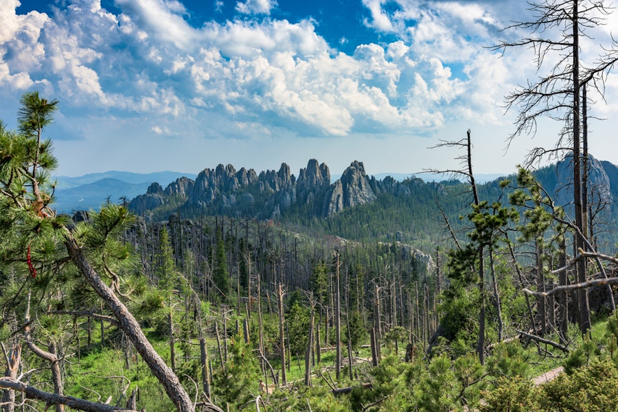 South Dakota Badlands, Mount Rushmore & Black Hills Hiking Tour