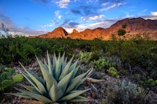 Texas Hiking Big Bend National Park & Beyond Lodge Based Tour