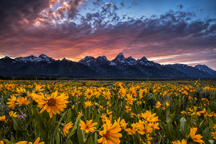 Wyoming Yellowstone & Grand Teton Hiking Lodge Based Tour