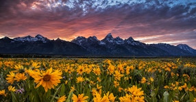 Wyoming Yellowstone & Grand Teton Hiking Lodge Based Tour