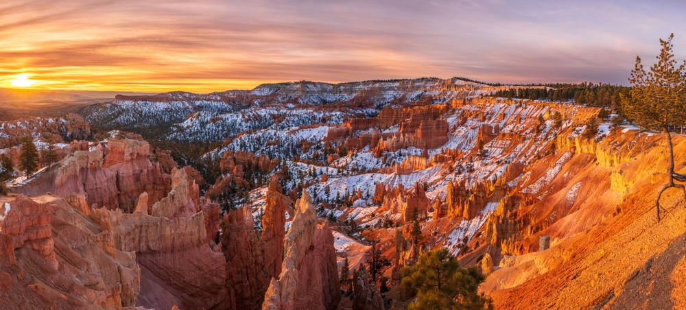 Utah Zion & Bryce Winter Hiking