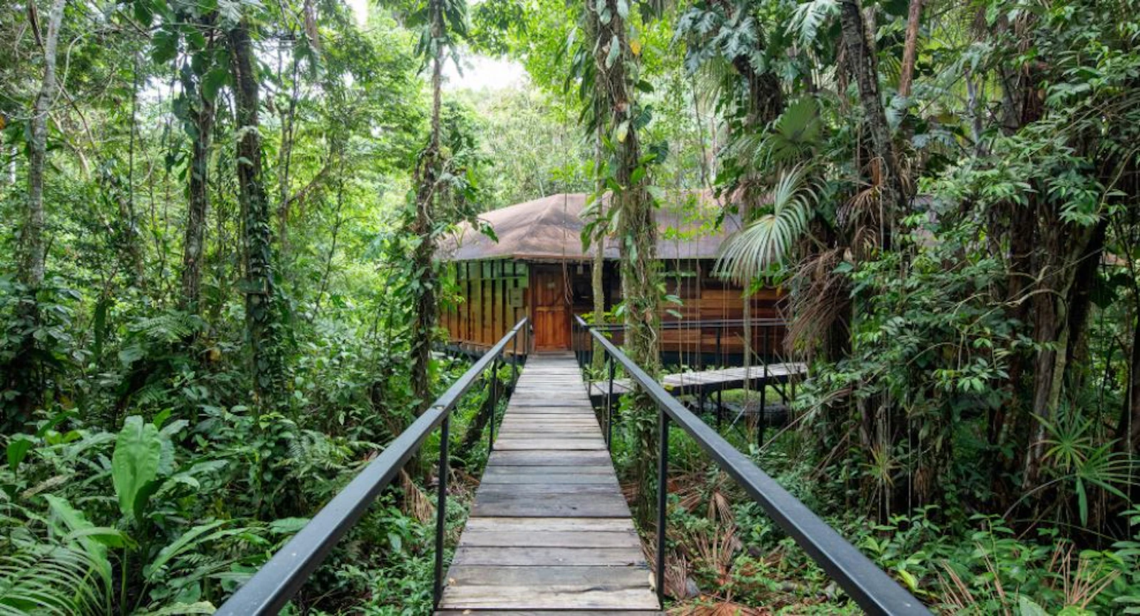Ecuador Amazon Sacha Lodge Extension