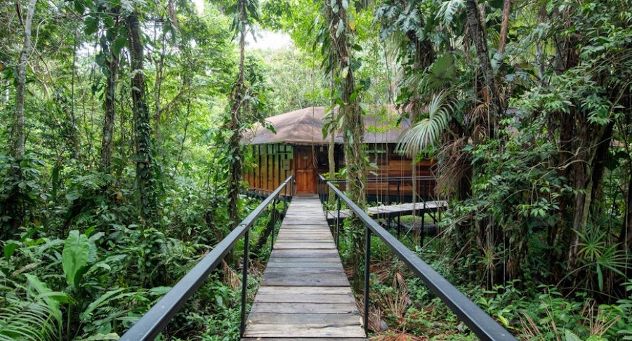 Ecuador Amazon Sacha Lodge Extension Tour