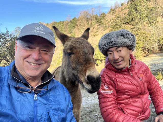 donkey - Bhutan Trekking Tour & Cultural Discovery