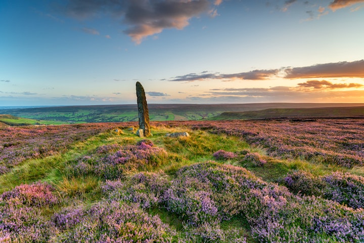 moor fields - England Coast to Coast Hiking