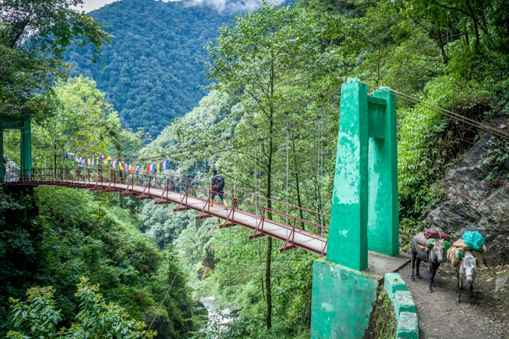 bridge - India Sikkim: Kanchenjunga Ridge Trek